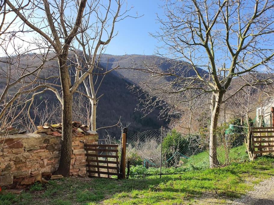 La Quiete Tra Le Montagne Apartment Apiro Exterior photo